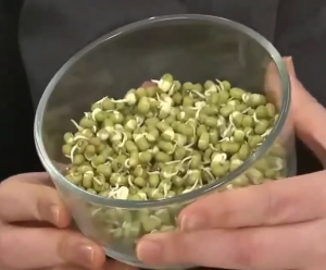 маш проростки